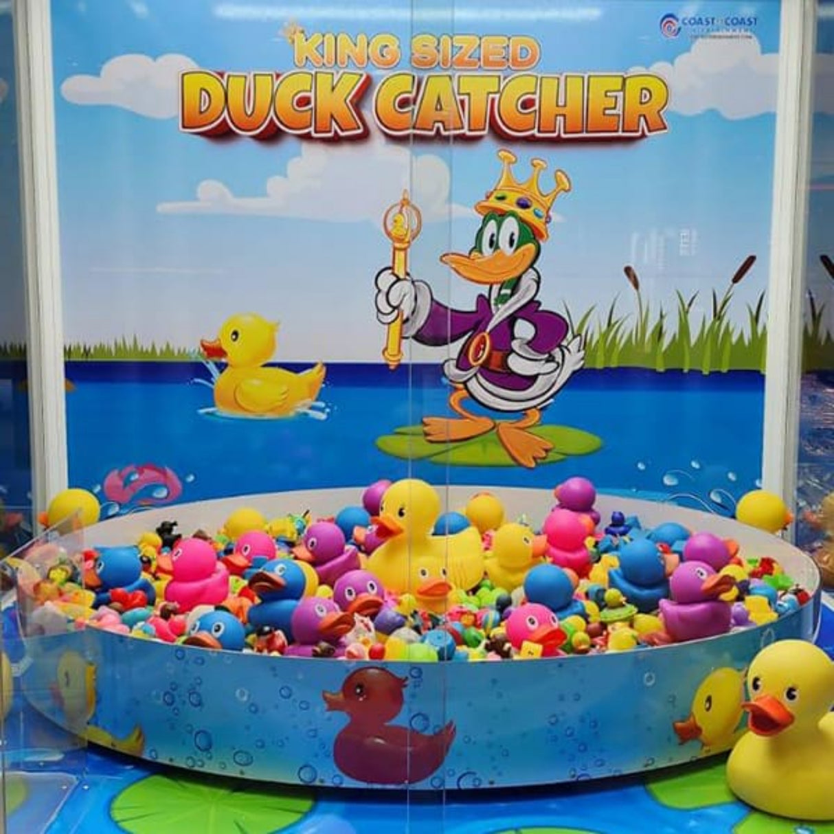 Coast to Coast Entertainment King Sized Duck Catcher
