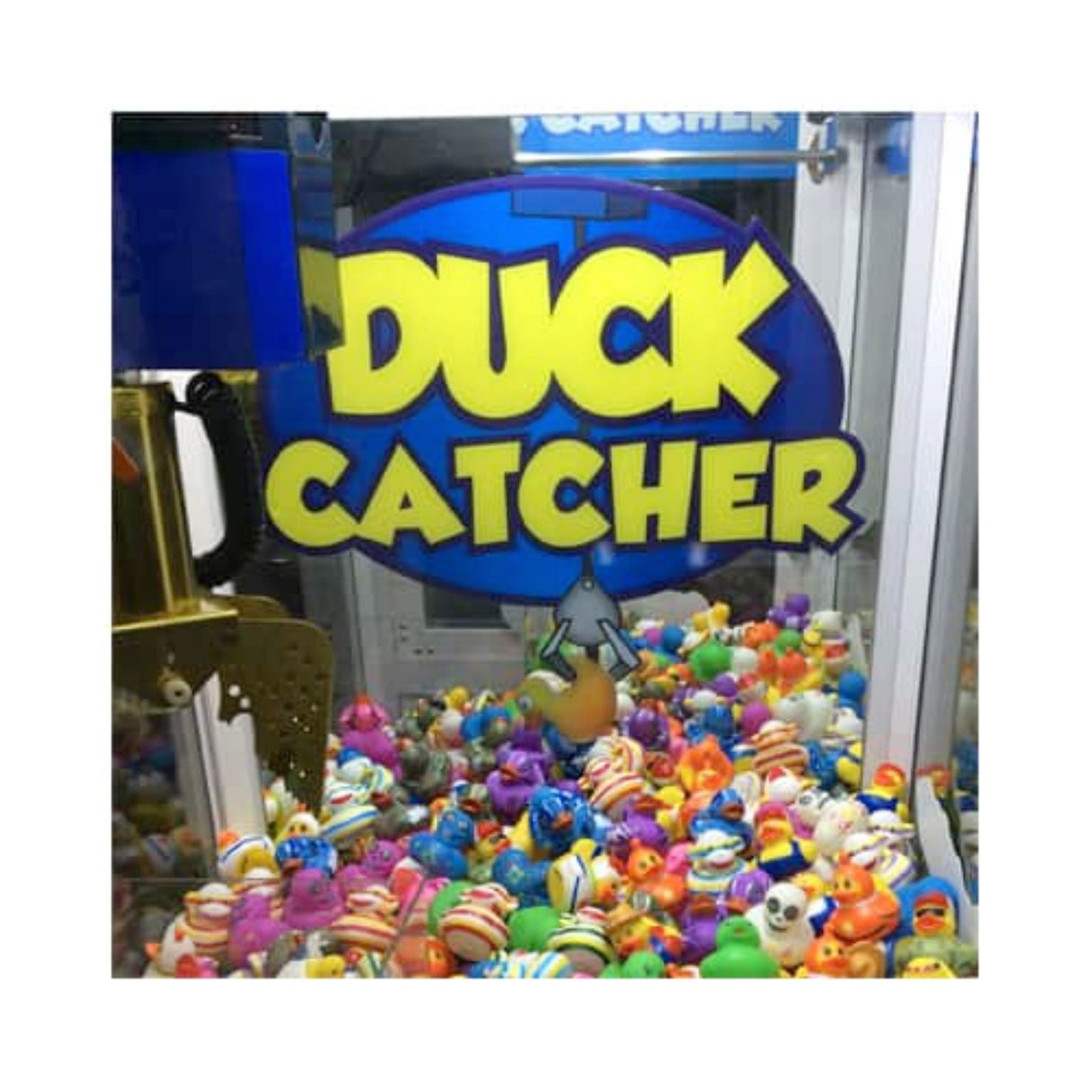 Coast to Coast Entertainment Duck Catcher - Game Den HQ