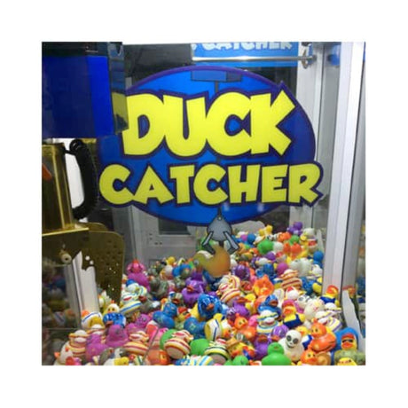 Coast to Coast Entertainment Duck Catcher - Game Den HQ